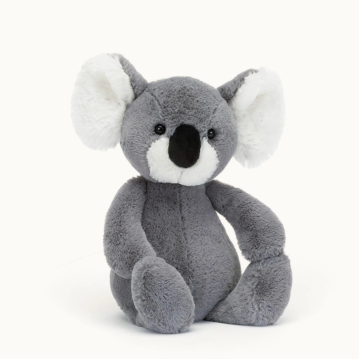 Bashful Koala