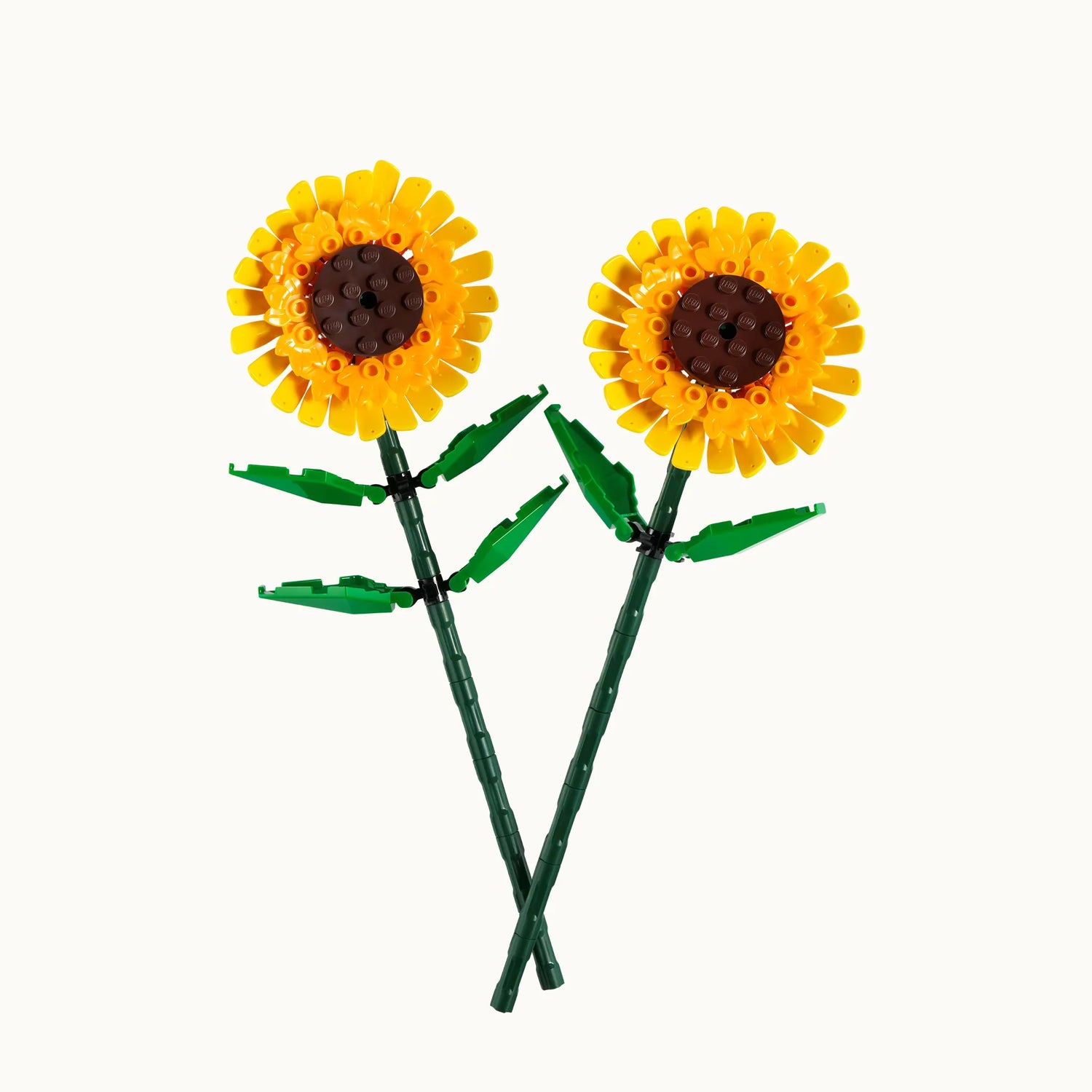 Iconic Sunflowers