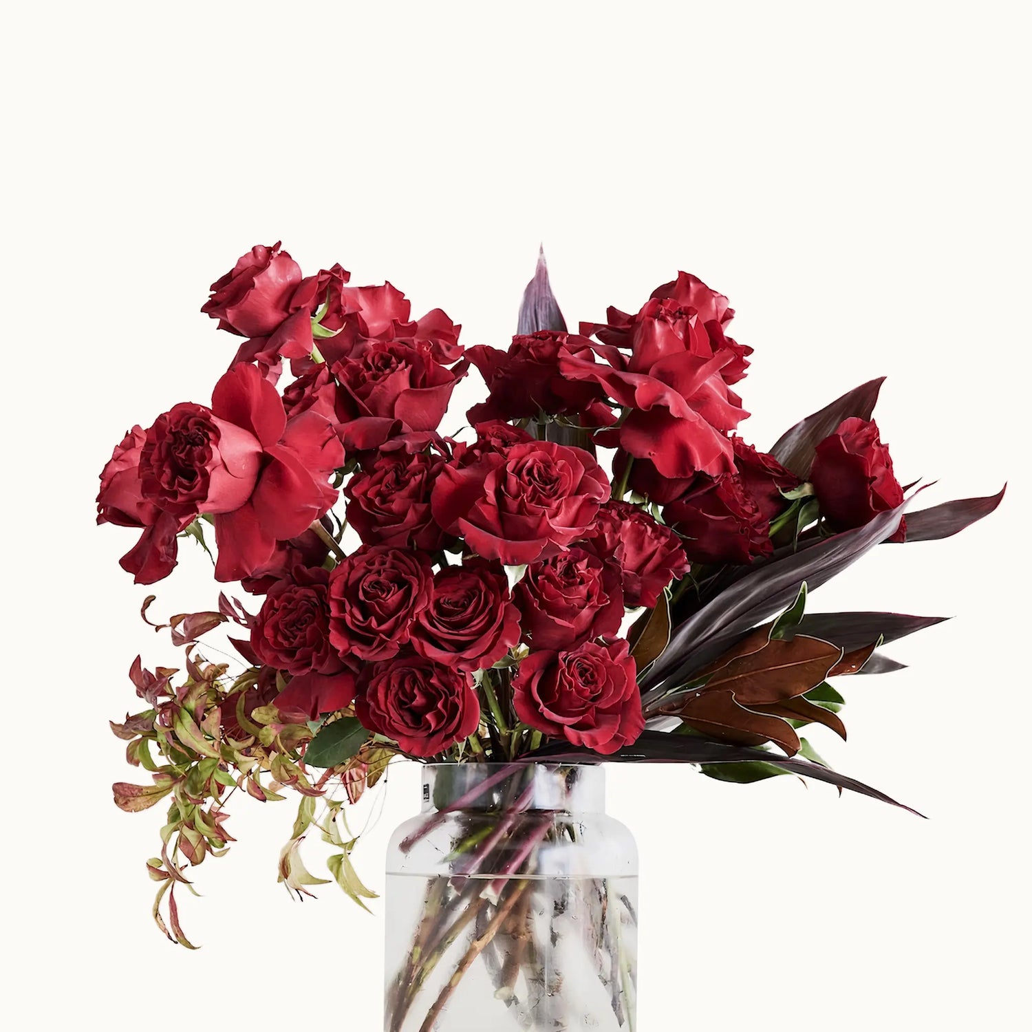 Luxe Scarlet Rose Arrangement