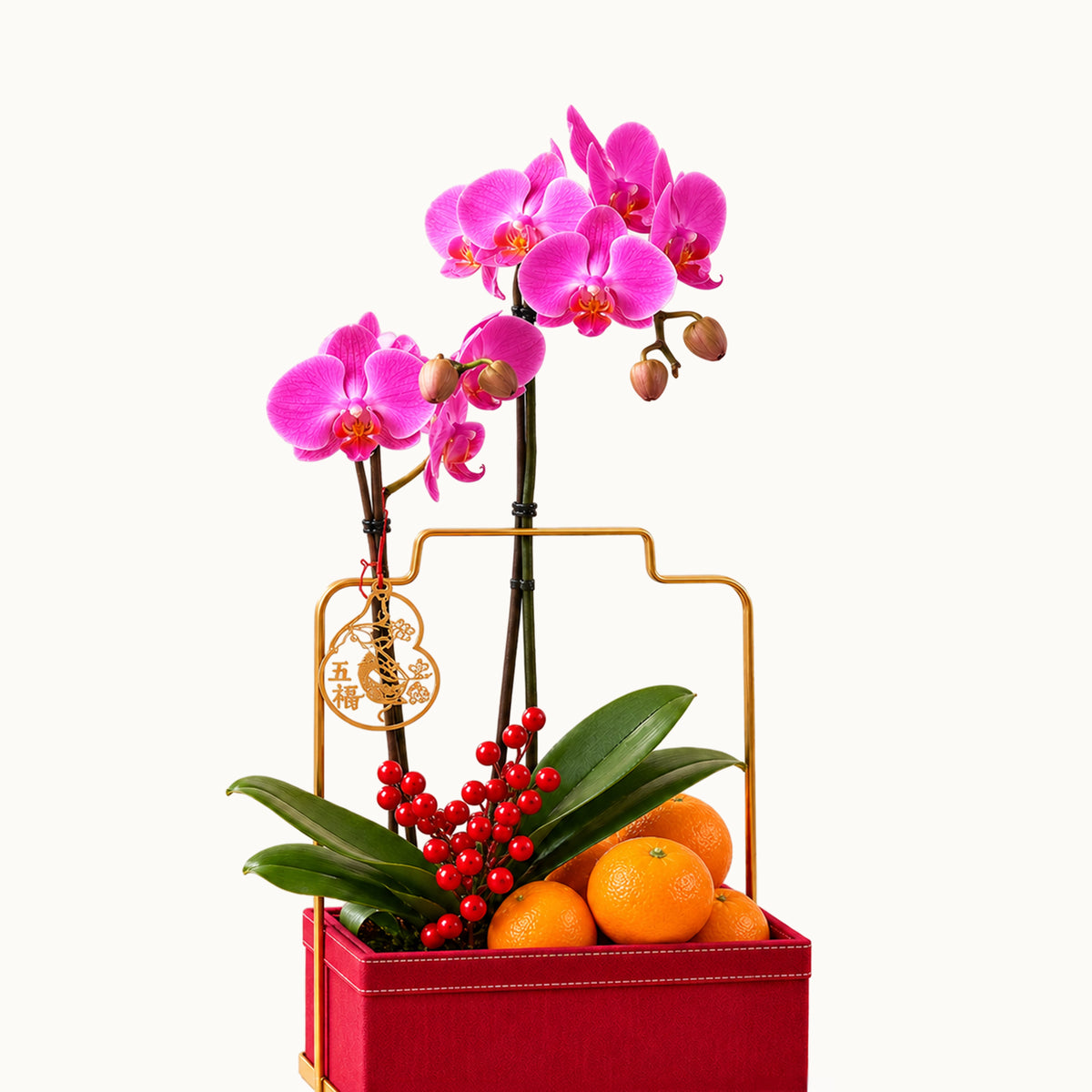 Orchids of Fortune
